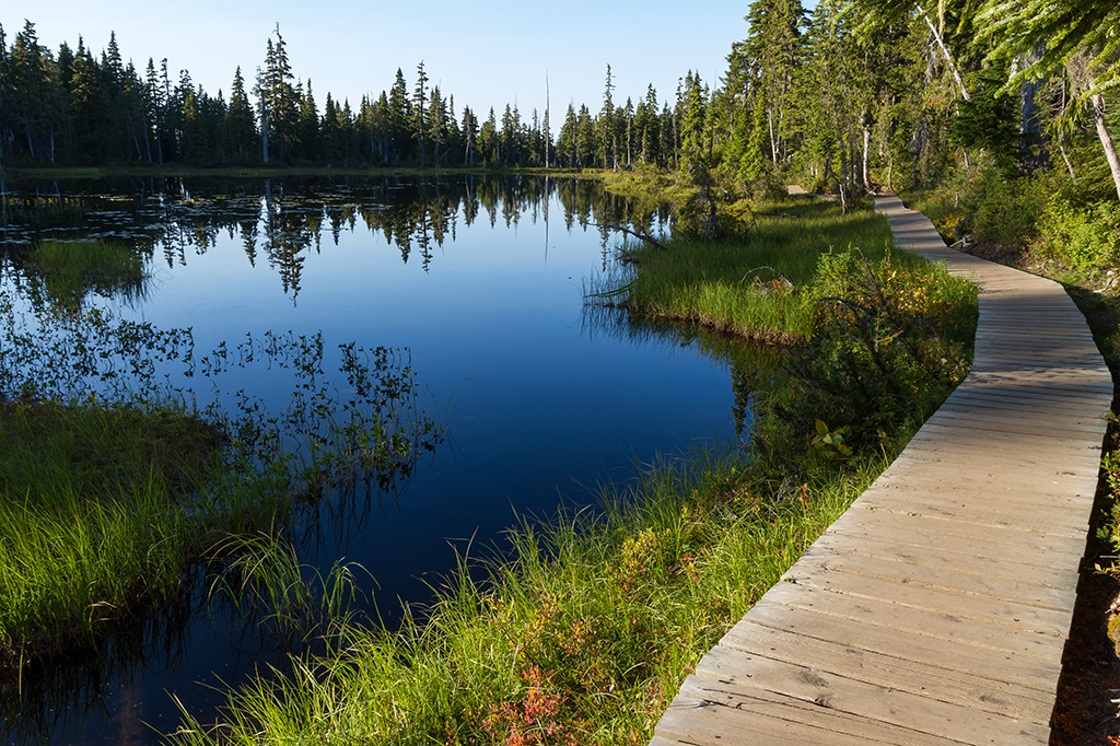 09-17 - 10.jpg - Strathcona Provincial Park, Vancouver Island, BC